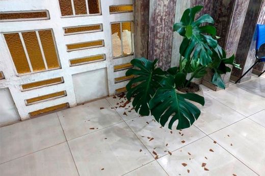 Igreja Matriz é invadida, furtada e vandalizada — foto 3 de 6