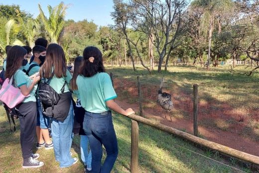 Escola do Caju levou alunos ao Parque Ecológico de São Carlos — foto 2 de 2