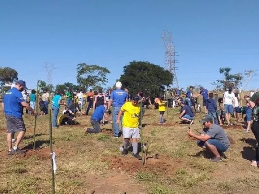 Matão+Verde planta para 75 crianças — foto 1 de 1