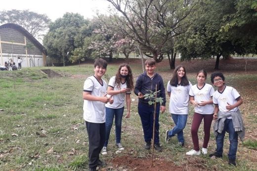 Plantios do 'Boa Praça' marcam o Dia da Árvore — foto 2 de 4