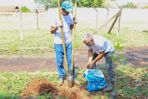 Plantios do 'Boa Praça' marcam o Dia da Árvore — foto 4 de 4