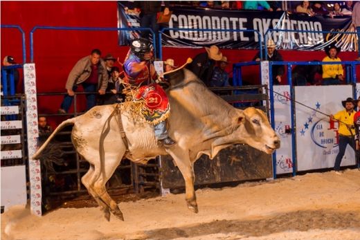 Festa do Peão deve manter bom público — foto 6 de 10
