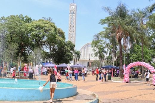Encontro Rosa homenageou a mulher matonense — foto 2 de 2