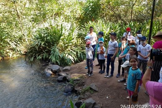 Estudantes são premiados com visita ao Parque do Basalto — foto 2 de 3