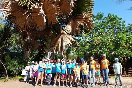 Estudantes são premiados com visita ao Parque do Basalto — foto 3 de 3