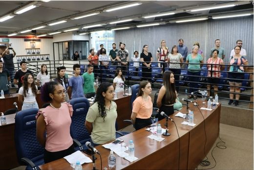 Parlamento Jovem encerra trabalhos realizados no ano — foto 2 de 2