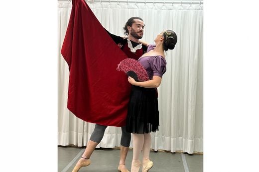 A travessia de Don Quixote nos movimentos do ballet — foto 3 de 3