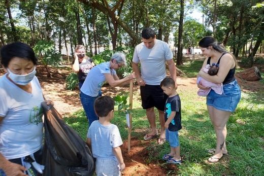 Plantio homenageia 64 crianças nascidas na cidade em novembro — foto 2 de 2