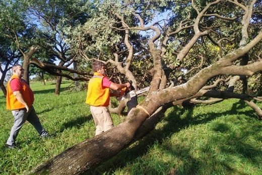 Clima: Em março, choveu menos em Matão — foto 2 de 2