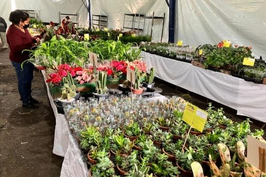 Rotary Club de Matão realiza 25ª edição da Expoflor — foto 2 de 3