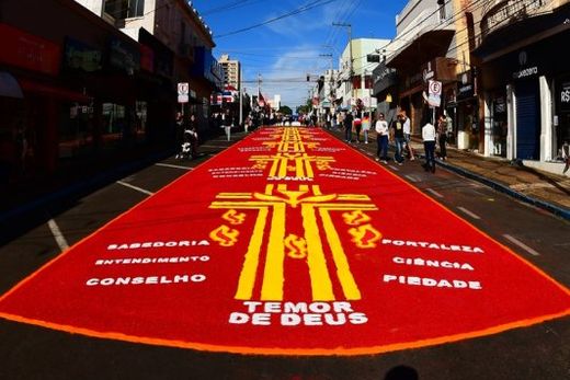Religiosidade marca a 76ª Festa de Corpus Christi — foto 9 de 35