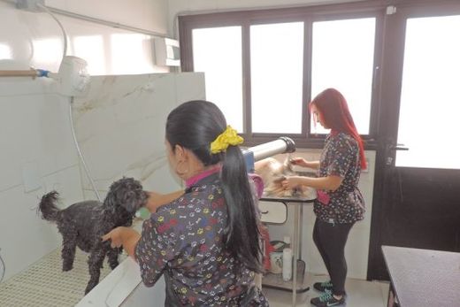 Laly Estética Animal comemora 14 anos com café da manhã especial — foto 3 de 3
