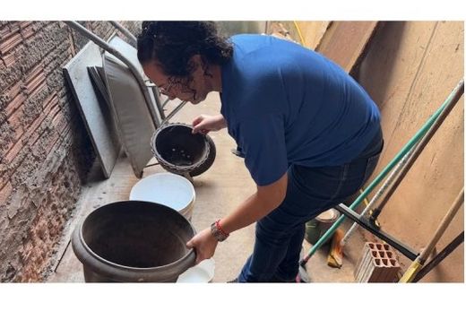 Aumento dos casos de dengue preocupa — foto 2 de 2