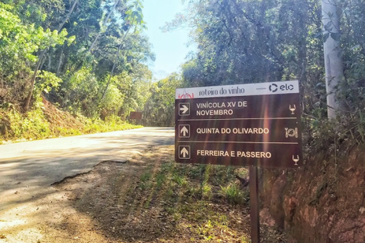 Um roteiro turístico para brindar — foto 3 de 14