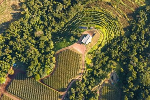 Um roteiro turístico para brindar — foto 9 de 14