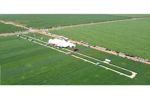 AgriVitta promove Vitrine Tecnológica — foto 2 de 2