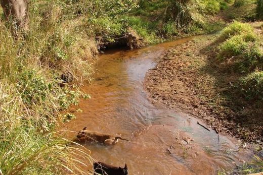 Documentário sobre o Rio São Lourenço será lançado — foto 3 de 4