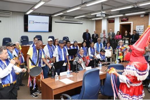 Câmara entrega honrarias aprovadas em legislaturas anteriores — foto 2 de 2