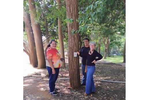 Arboriza Matão completa três meses — foto 2 de 2