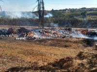 Incêndio queima canavial e atinge empresa — foto 3 de 4