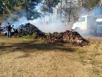 Incêndio queima canavial e atinge empresa — foto 4 de 4