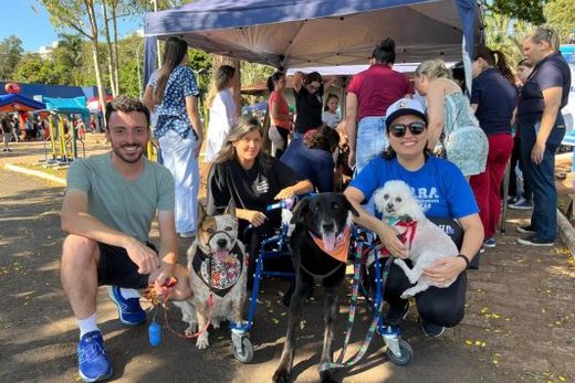 3ª Cãominhada reúne público e cães no Parque Ecológico — foto 4 de 8