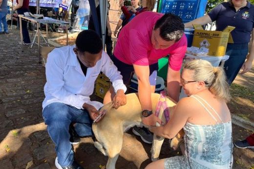 3ª Cãominhada reúne público e cães no Parque Ecológico — foto 8 de 8