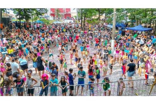 Foliões celebraram a alegria no Tô Matão — foto 2 de 5