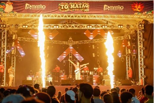 Foliões celebraram a alegria no Tô Matão — foto 5 de 5
