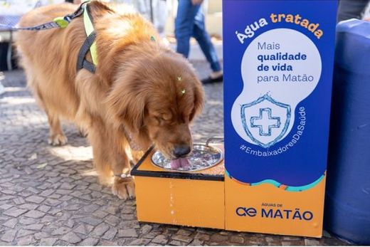 Águas de Matão distribuiu mais de 2.500 litros de água no Corpus Christi — foto 2 de 2