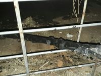 Princípio de incêndio na Estação Ferroviária — foto 2 de 3