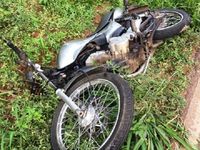Animal solto na Rodovia do Trabalhador causa acidente — foto 3 de 3