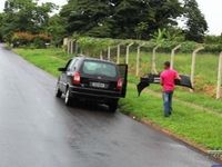 Colisão entre dois carros no IV Centenário deixa 5 pessoas feridas — foto 6 de 7
