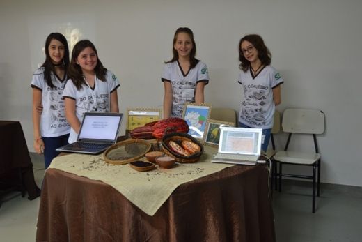 Coc apresenta a 20ª Feciarte — foto 2 de 7